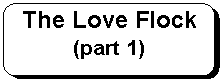 Rounded Rectangle: The Love Flock (part 1)