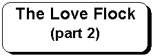 Rounded Rectangle: The Love Flock (part 2)